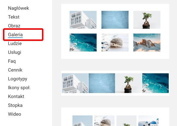 wzór sekcji galeria